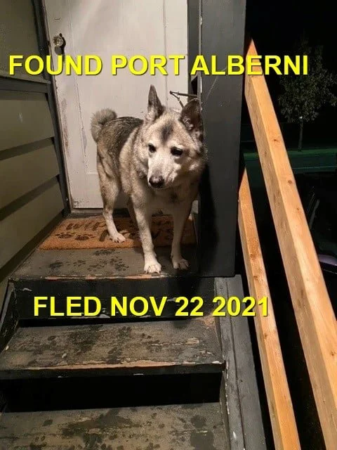 HAPPY ENDINGS - PORT ALBERNI BC - NOV. 22, 2021