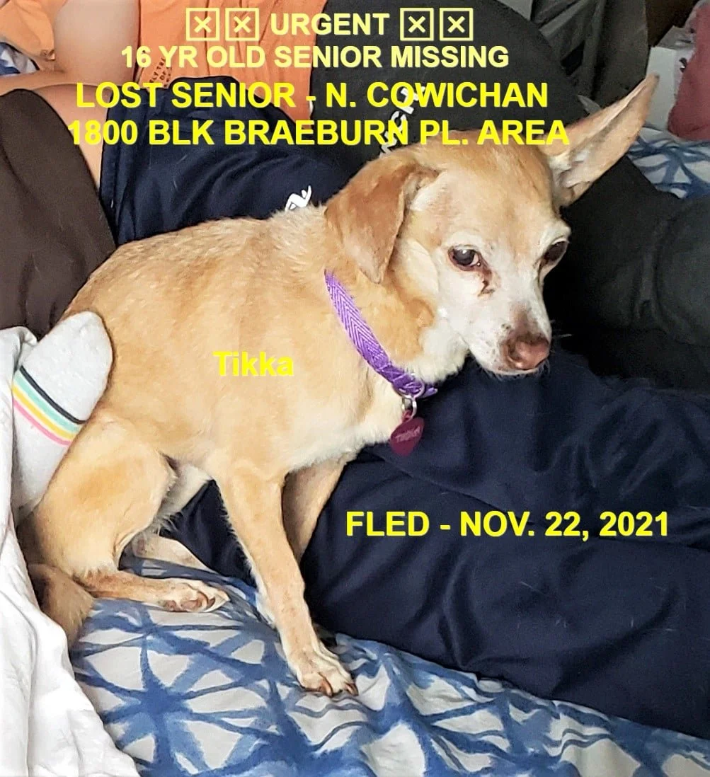 HAPPY ENDINGS - N. COWICHAN BC. - SENIOR TIKKA - NOV. 22, 2021