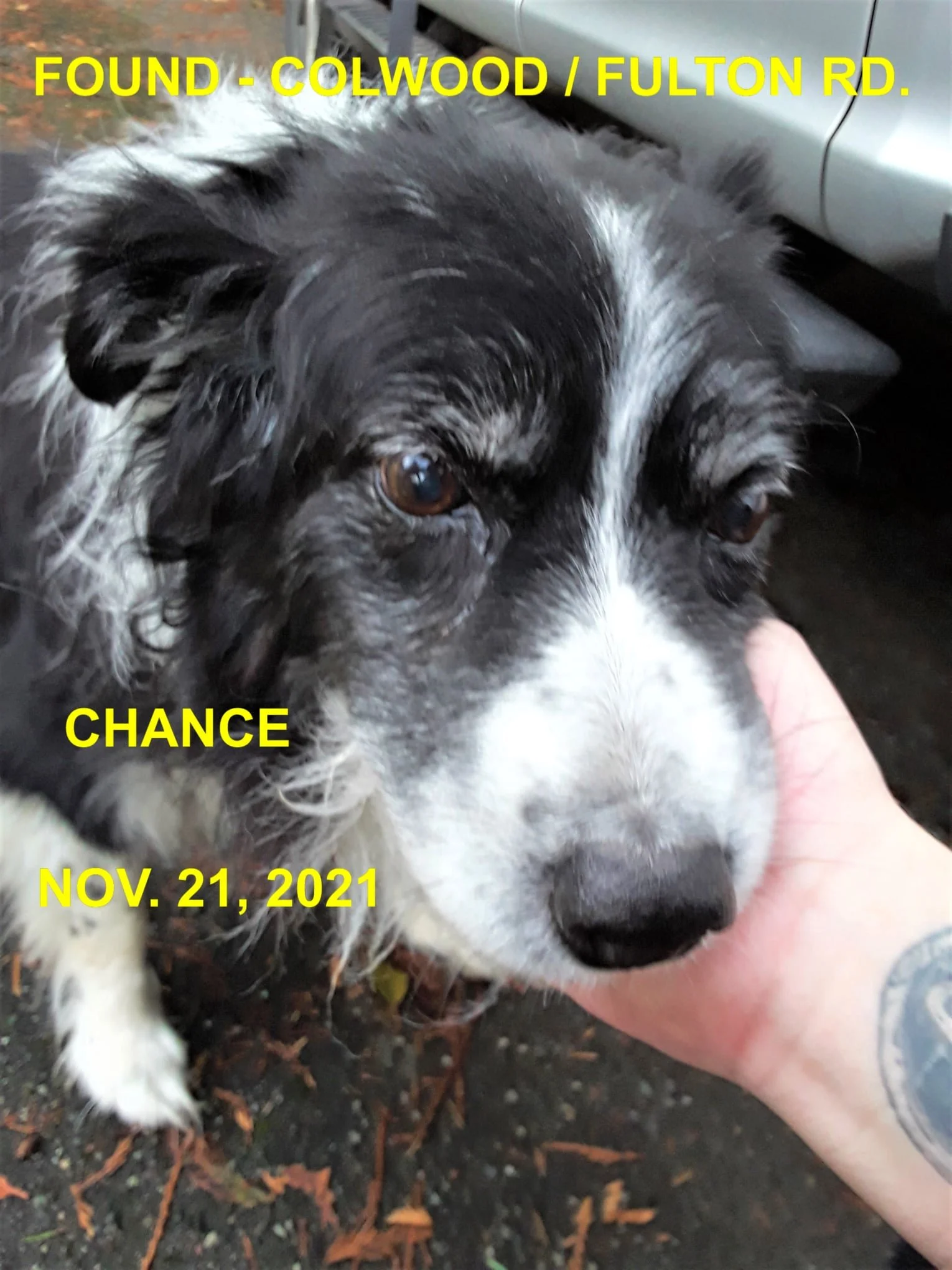 HAPPY ENDINGS - COLWOOD BC. - CHANCE - NOV. 21, 2021