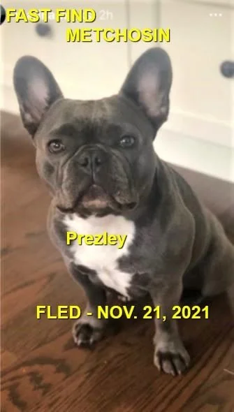 HAPPY ENDINGS - METCHOSIN BC. - PREZLEY - NOV. 21, 2021