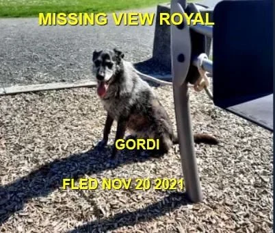 HAPPY ENDINGS - VIEW ROYAL BC. - GORDI - NOV. 20, 2021