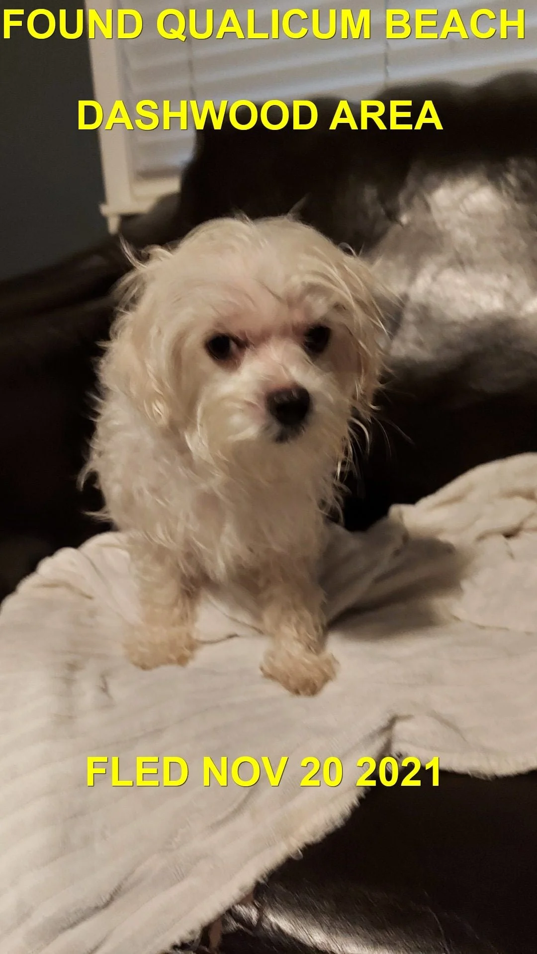 HAPPY ENDINGS - QUALICUM BEACH BC. - NOV. 20, 2021