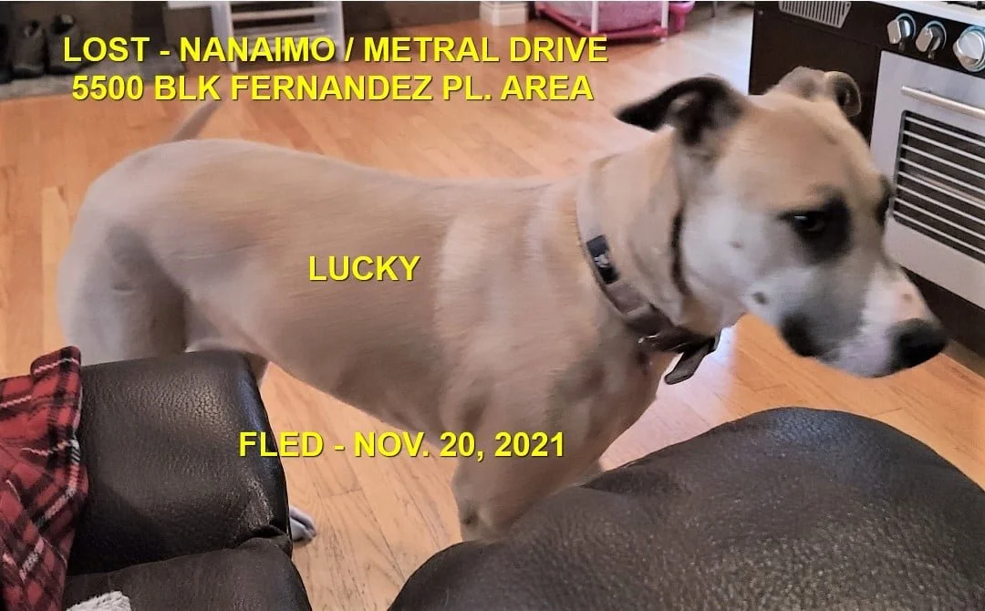 HAPPY ENDINGS - NANAIMO BC - LUCKY - NOV. 20, 2021