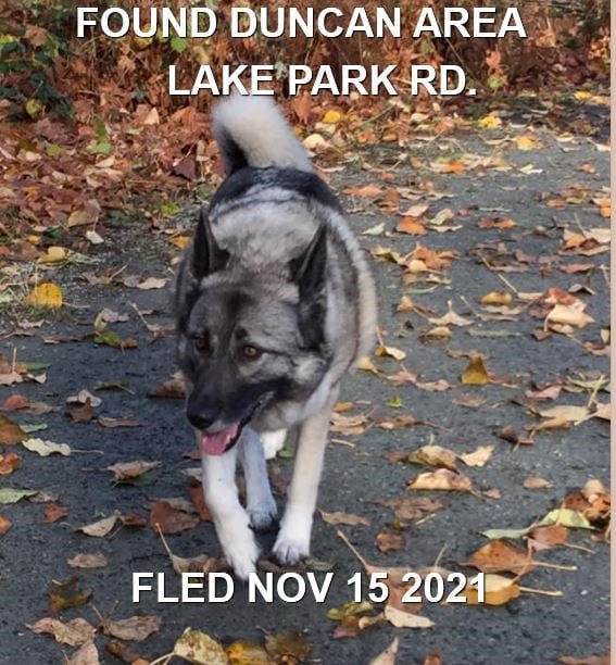 HAPPY ENDINGS - DUNCAN BC. - MANGO - NOV. 15, 2021