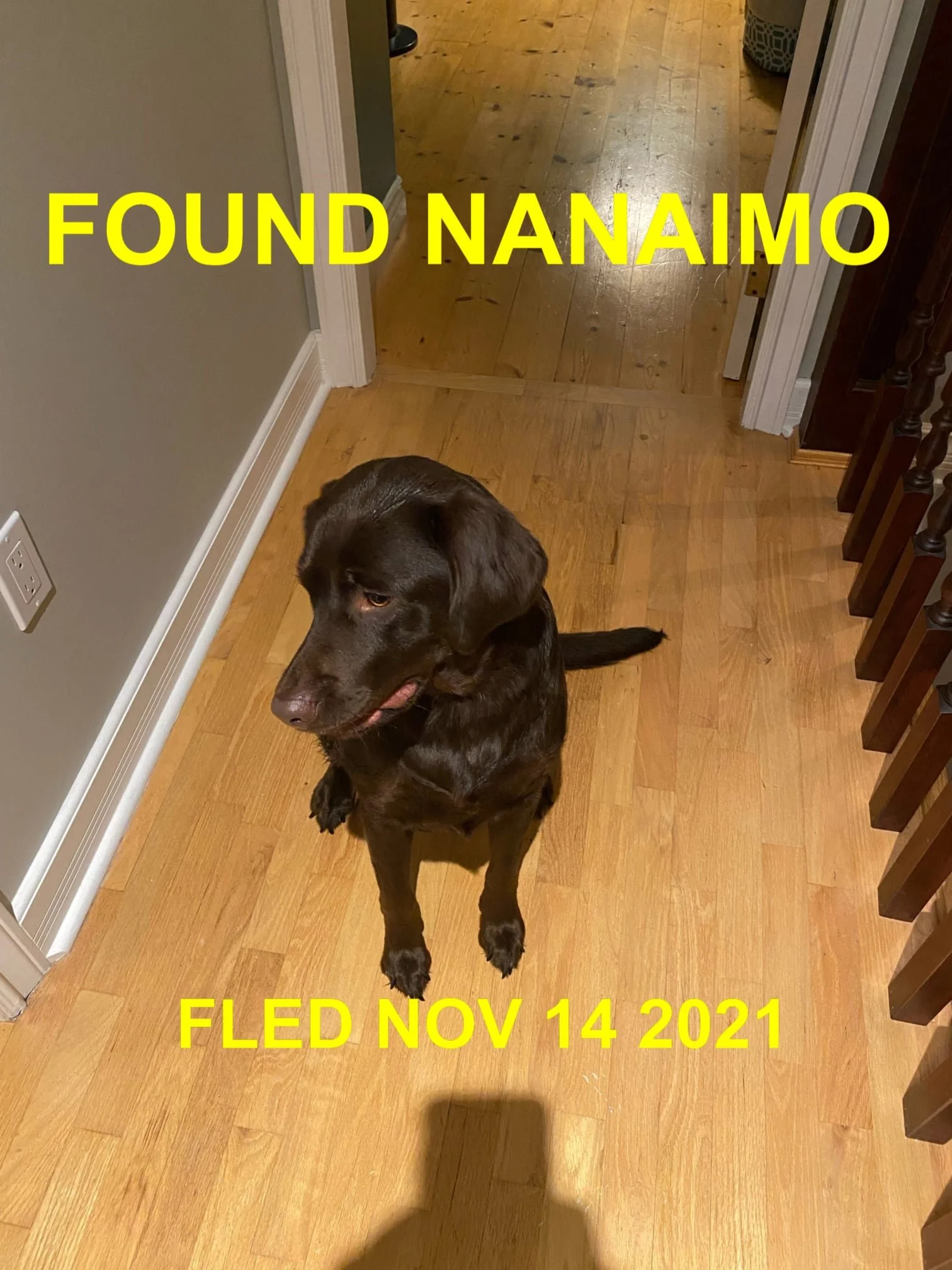 HAPPY ENDINGS - NANAIMO BC. - THELMA - NOV. 14, 2021