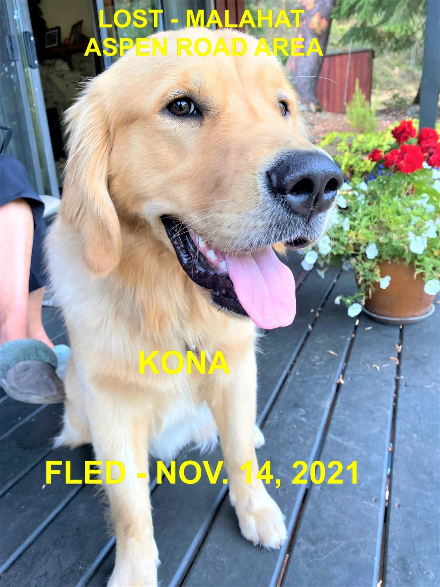 HAPPY ENDINGS - MALAHAT BC. - KONA - NOV. 14, 2021