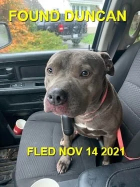 HAPPY ENDINGS - DUNCAN BC. - NOV. 14, 2021