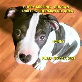 HAPPY ENDINGS - DUNCAN BC. - HONEY - NOV. 17, 2021