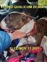 HAPPY ENDINGS - QUALICUM BEACH BC. - NOV. 13, 2021