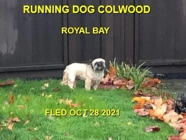 HAPPY ENDINGS - METCHOSIN BC. - OCT. 28, 2021