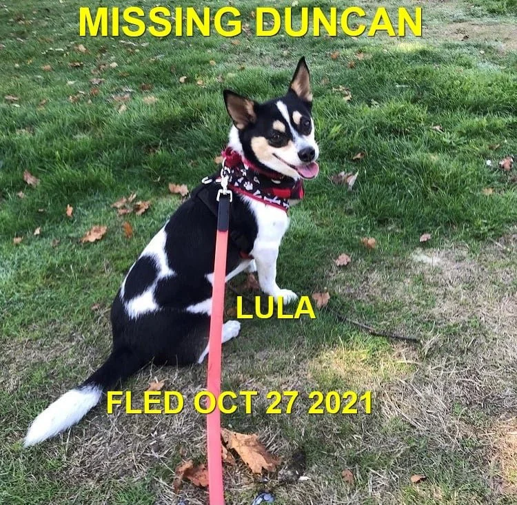 HAPPY ENDINGS - DUNCAN BC. - LULA - OCT. 27, 2021
