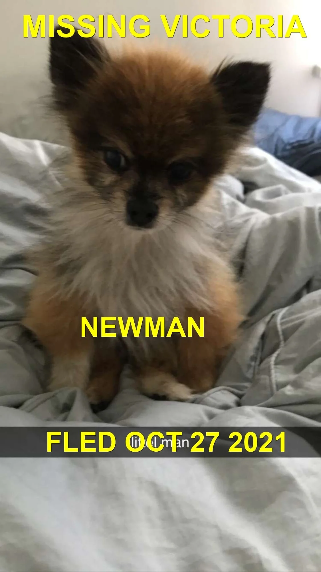 HAPPY ENDINGS - VICTORIA BC. - NEWMAN - OCT. 27, 2021