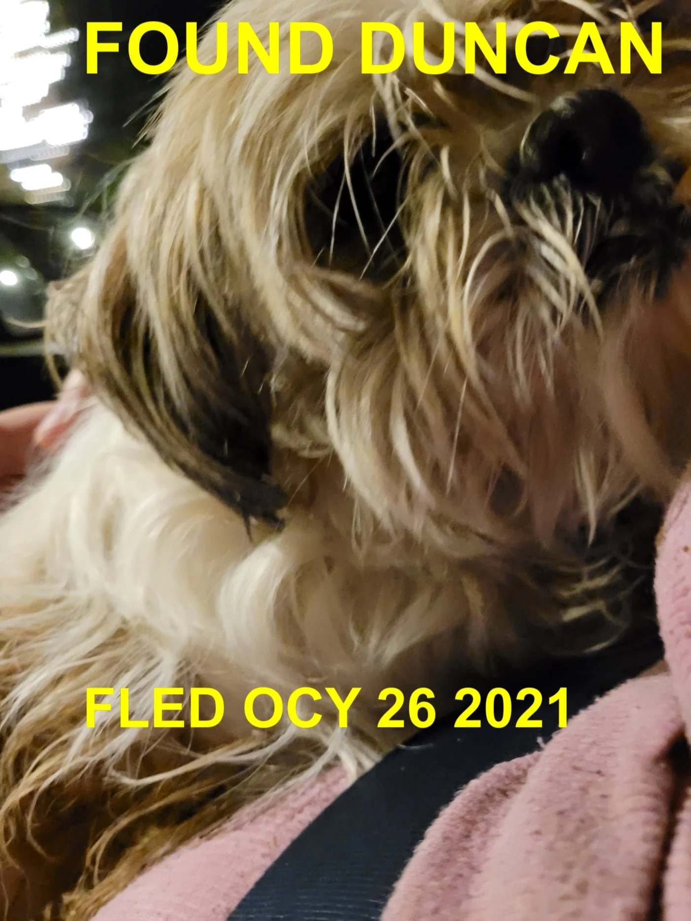 GONE TO SHELTER / HAPPY ENDINGS - DUNCAN BC. - OCT 26, 2021