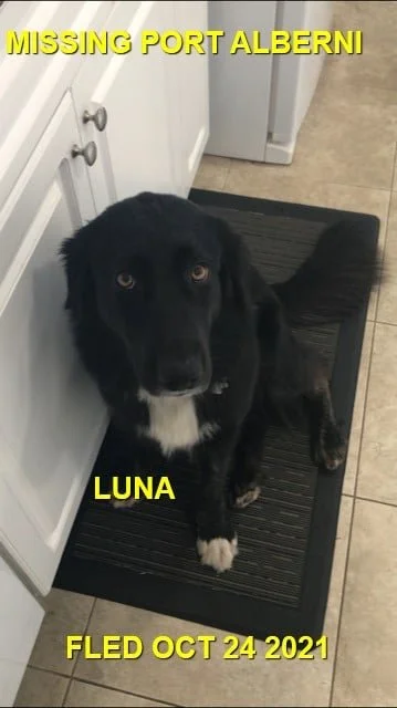 HAPPY ENDINGS - PORT ALBERNI BC. - LUNA - OCT. 24, 2021