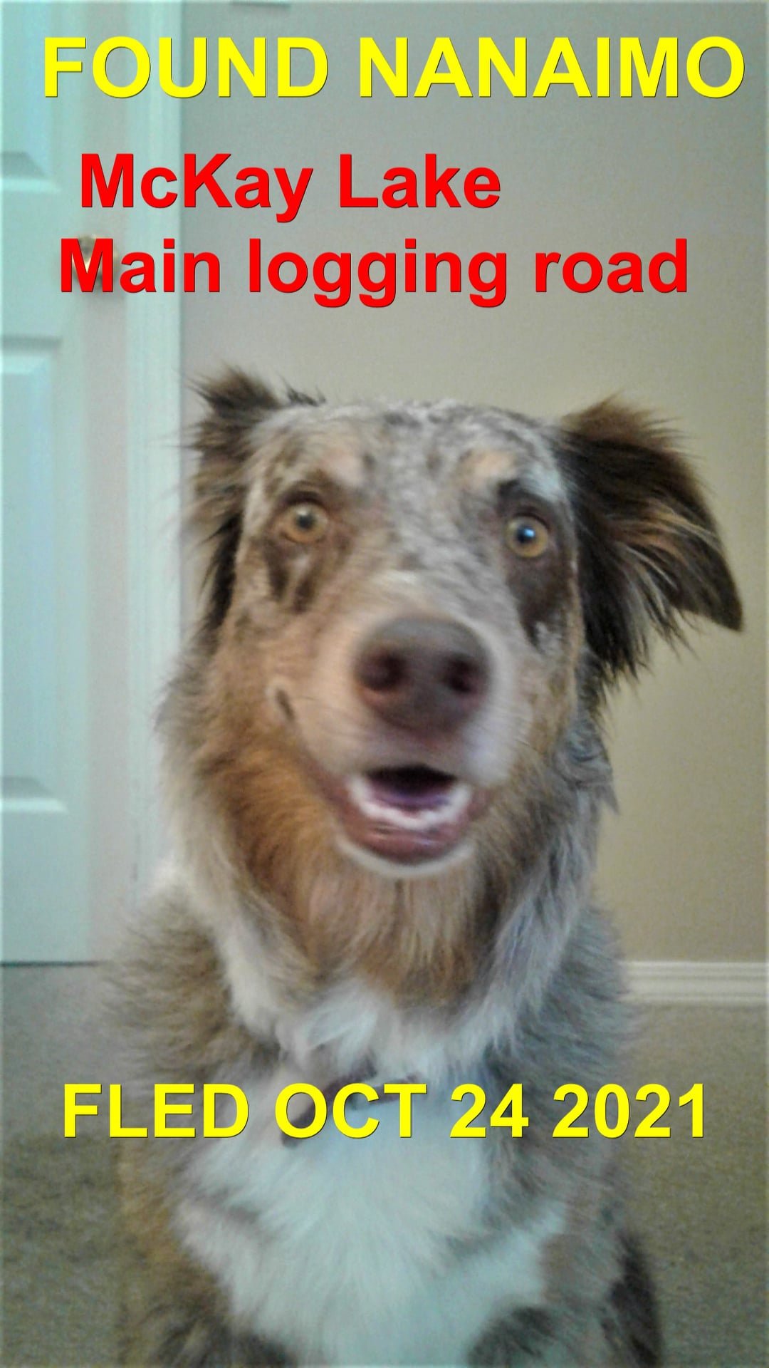 HAPPY ENDINGS - NANAIMO BC. - OCT. 24, 2021