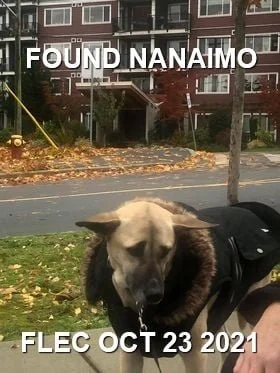 GONE TO SHELTER / HAPPY ENDINGS - NANAIMO BC. - OCT. 23, 2021