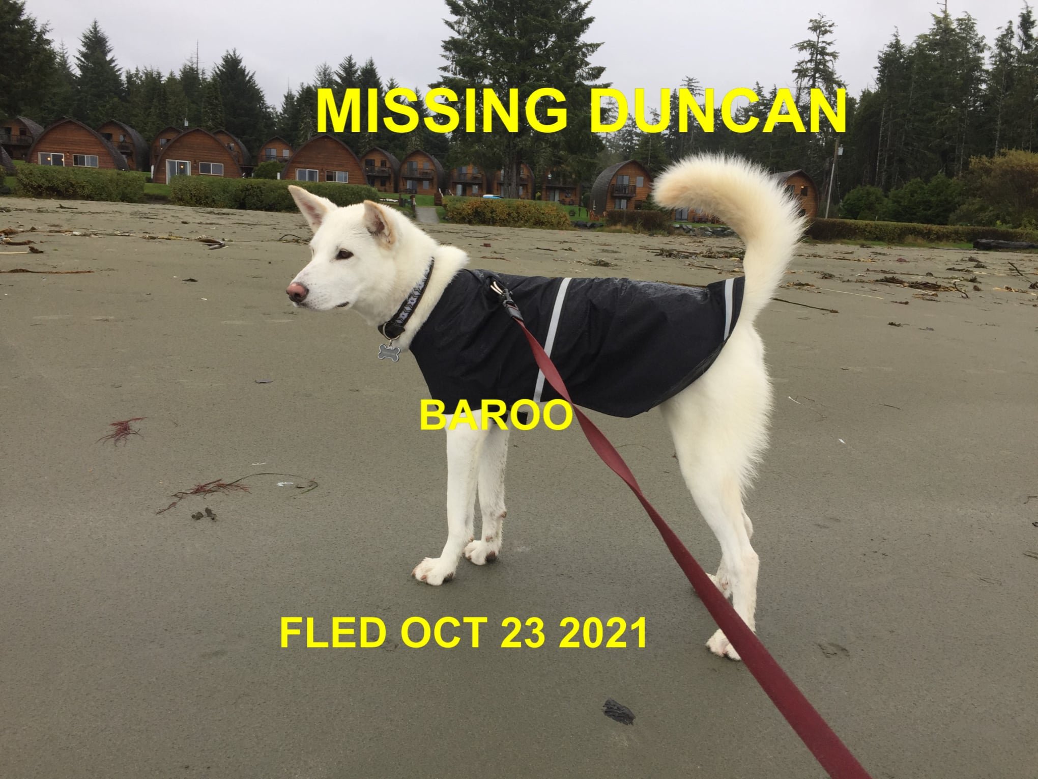 HAPPY ENDINGS - DUNCAN BC. - BAROO - OCT 22, 2021