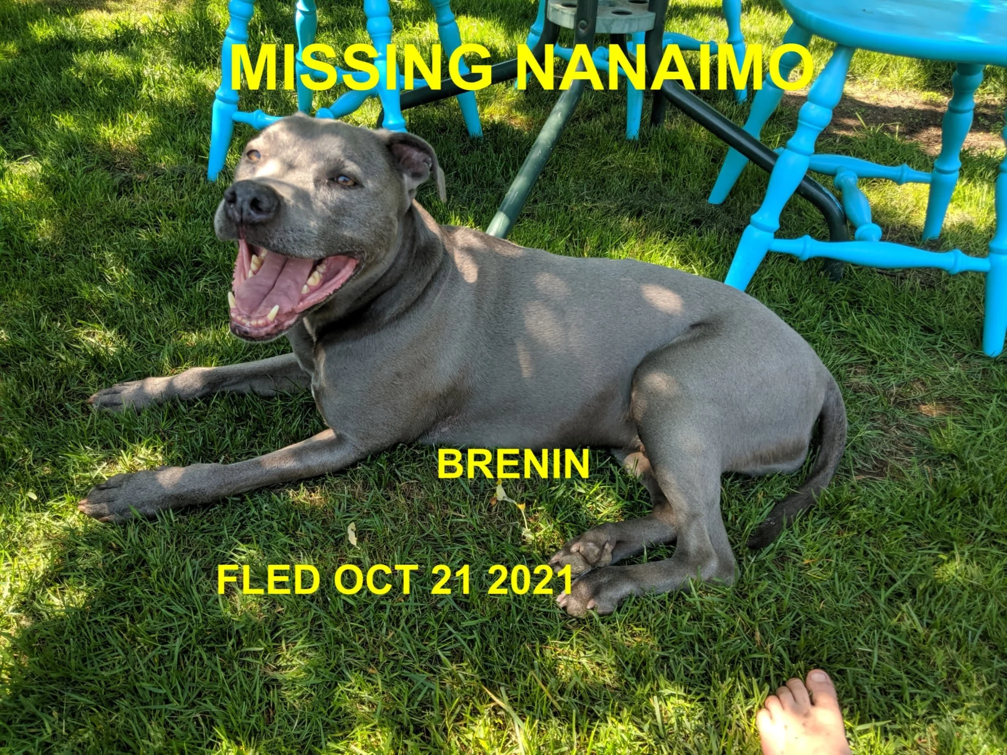 HAPPY ENDINGS - NANAIMO BC. - BRENIN - OCT. 21, 2021