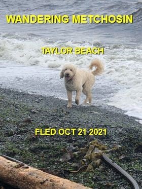 HAPPY ENDINGS - METCHOSIN BC. - OCT. 21, 2021