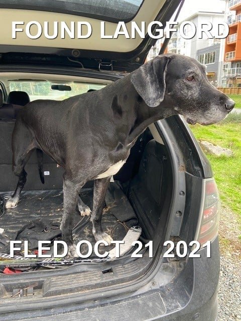 HAPPY ENDINGS - LANGFORD BC. - OCT 21, 2021