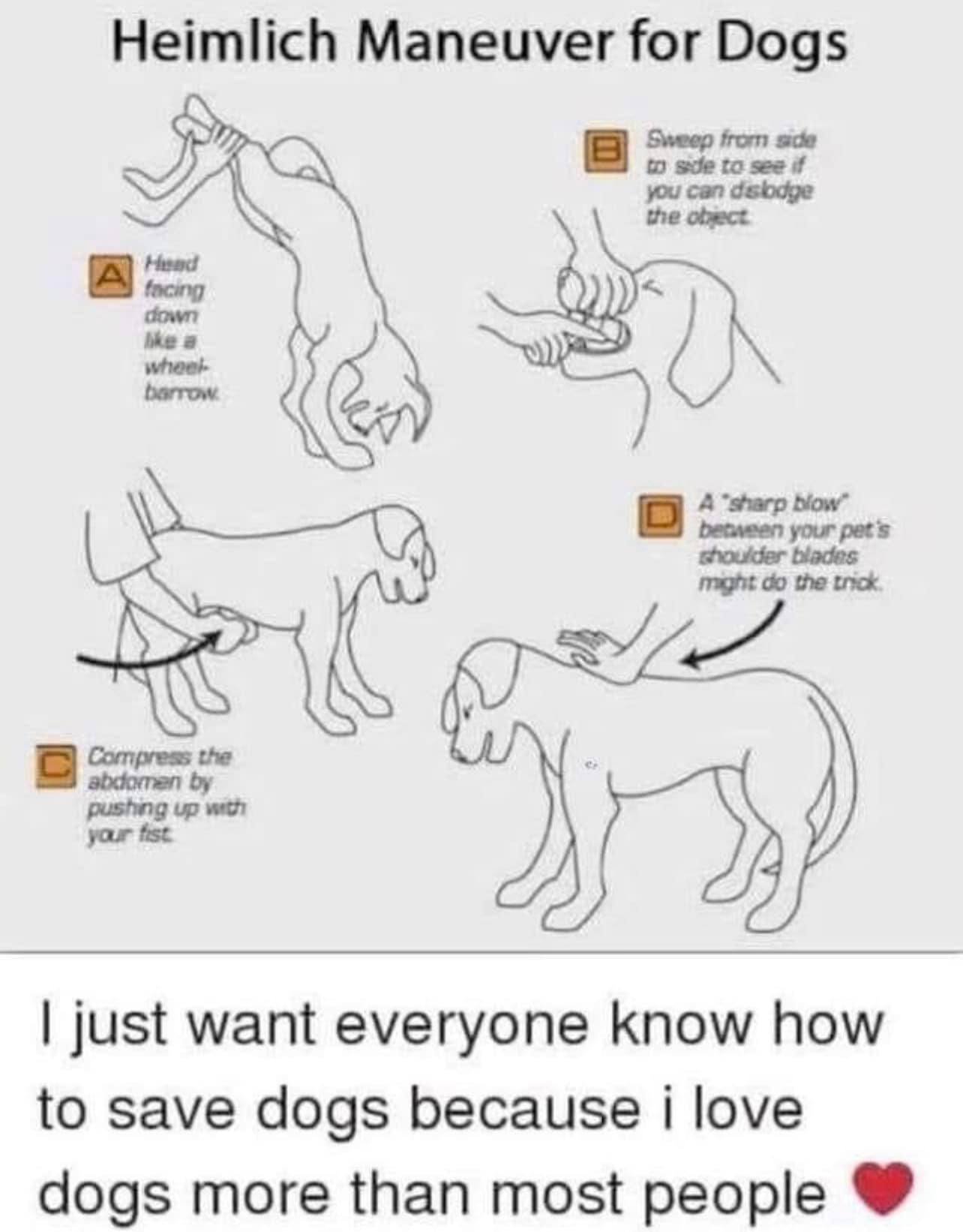 PSA - HEIMLICH MANEUVER - COULD SAVE A LIFE