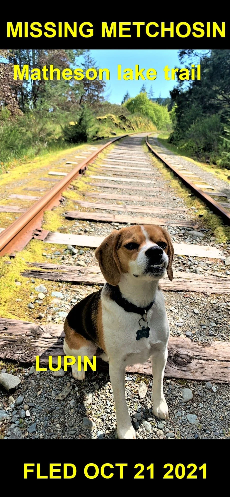 HAPPY ENDINGS - METCHOSIN BC. - LUPIN - OCT. 20, 2021