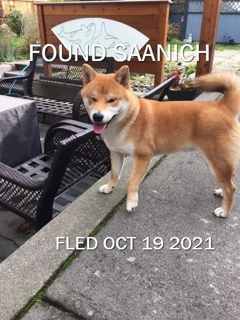 HAPPY ENDINGS - SAANICH BC. - SEPT. 19, 2021