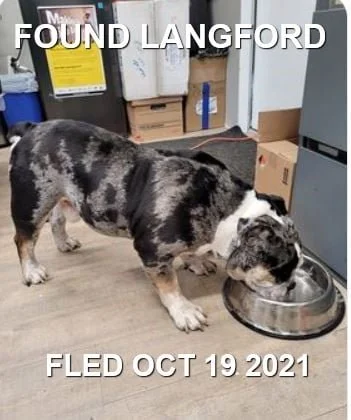 HAPPY ENDINGS - LANGFORD BC. - TANK - OCT. 19, 2021