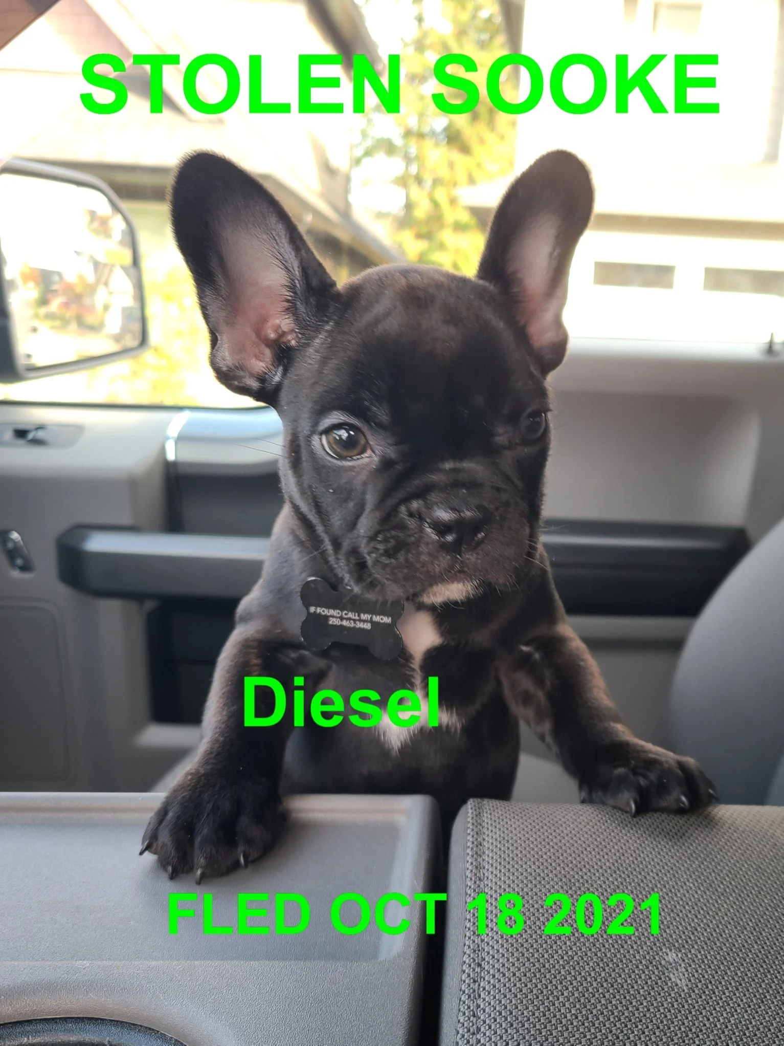 HAPPY ENDINGS - SOOKE BC. - DIESEL - OCT. 17, 2021