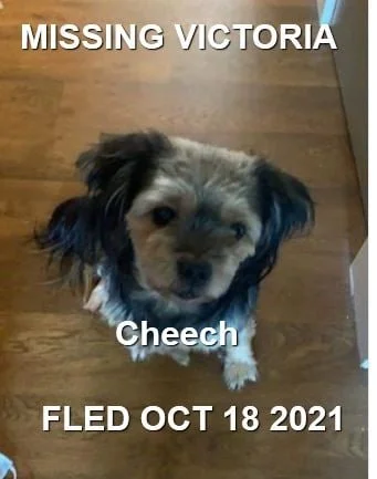 HAPPY ENDINGS - VICTORIA BC. - CHEECH - OCT. 18, 2021