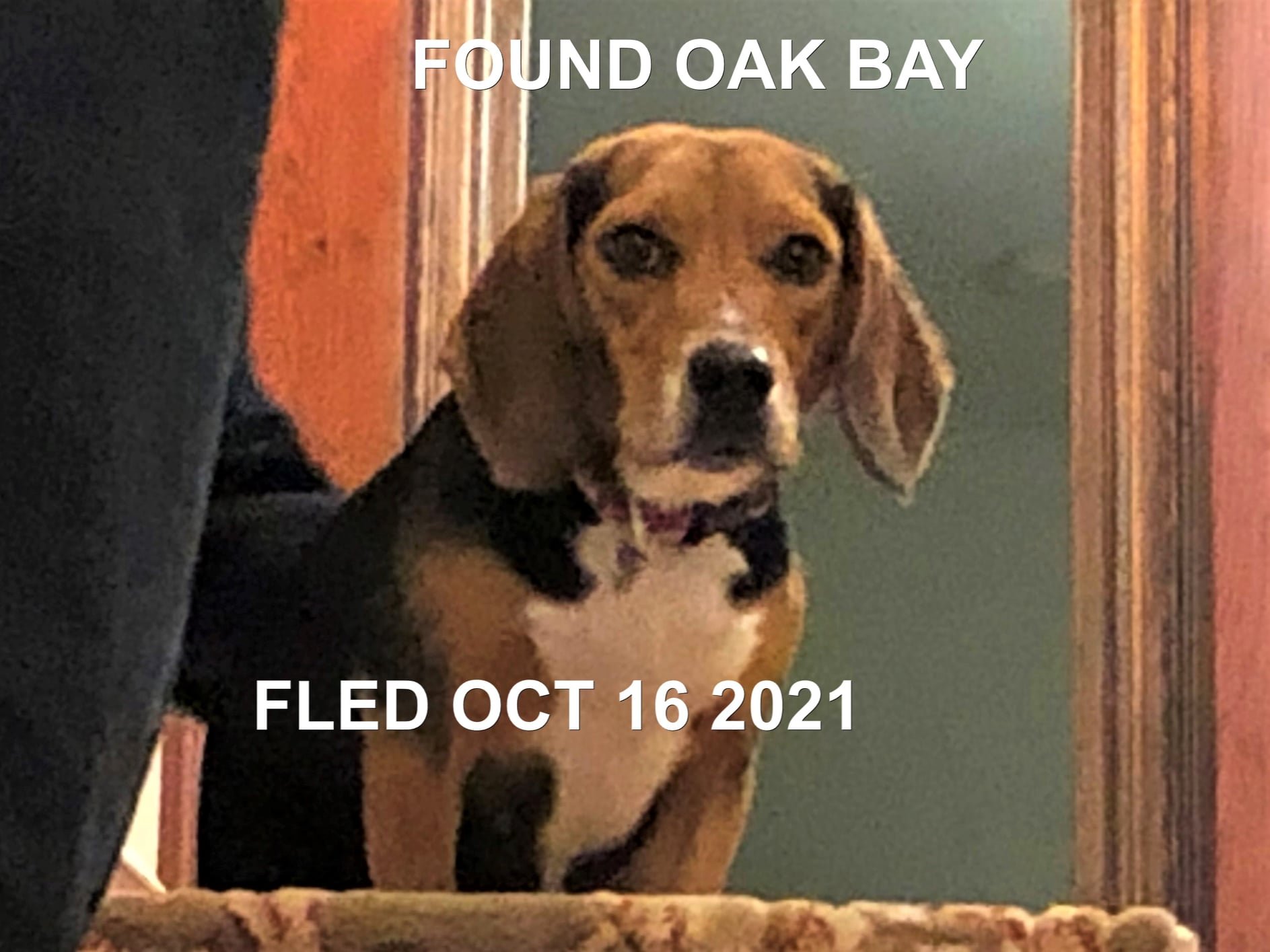 HAPPY ENDINGS - VICTORIA (OAK BAY) BC. - OCT. 16, 2021