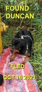 HAPPY ENDINGS - DUNCAN BC - OCT. 16, 2021