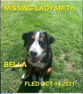 HAPPY ENDINGS - LADYSMITH BC. - BELLA - OCT. 16, 2021