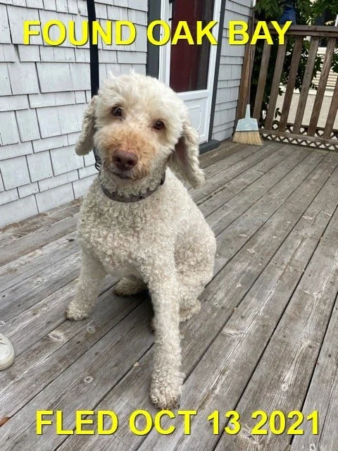 HAPPY ENDINGS  - VICTORIA / OAK BAY BC. - OCT. 13, 2021