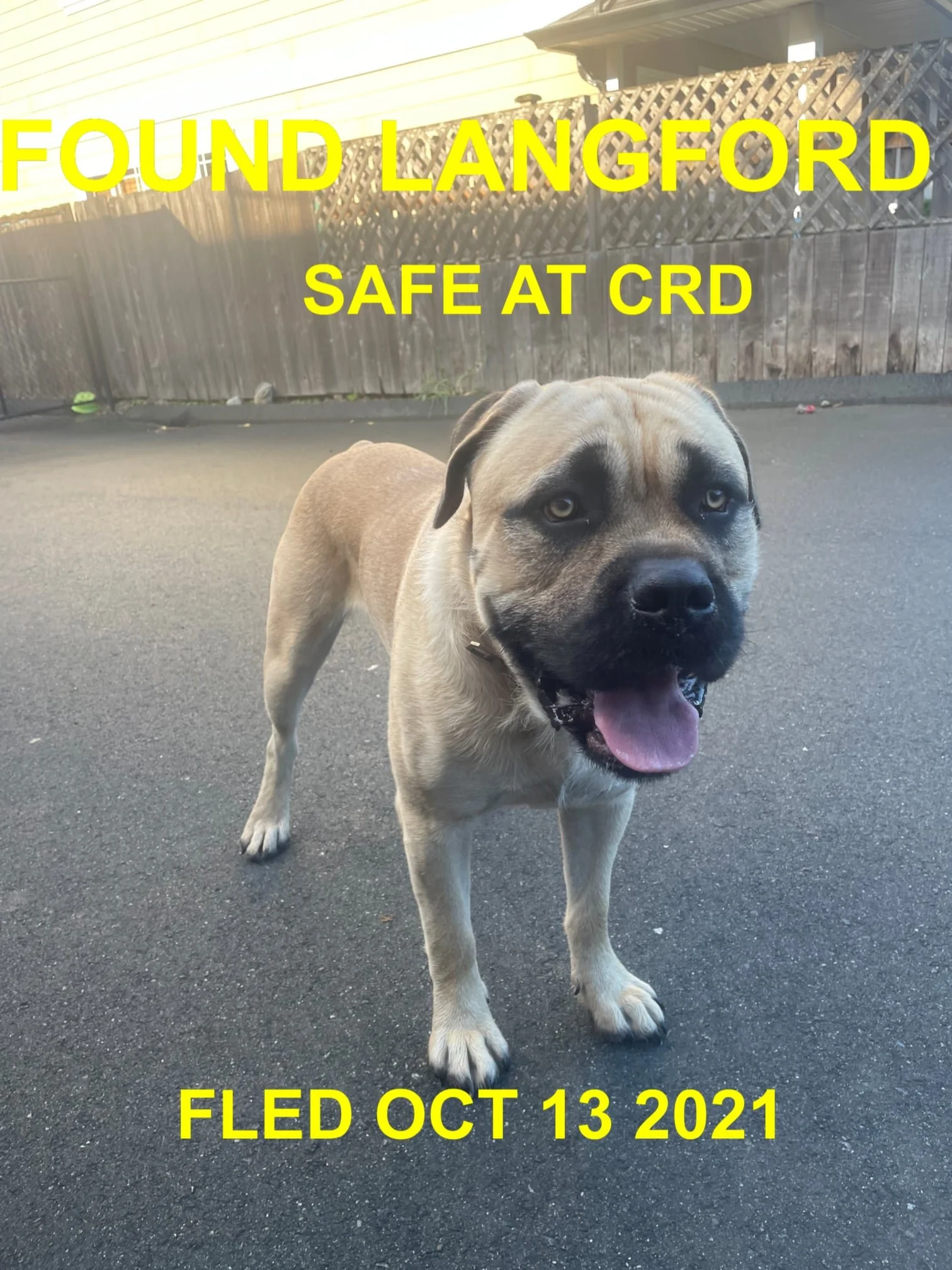 HAPPY ENDINGS / GONE TO SHETLER - LANGFORD BC. - OCT. 13, 2021