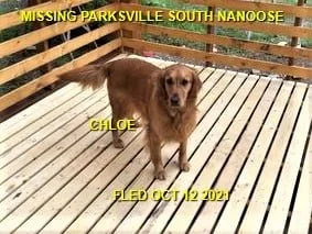 HAPPY ENDINGS - PARKSVILLE BC. - CHLOE - OCT. 11, 2021