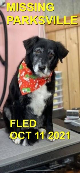 HAPPY ENDINGS - PARKSVILLE BC. - ROXIE - OCT. 10, 2021