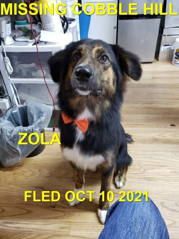HAPPY ENDINGS - COBBLE HILL BC. - ZOLA - OCT. 9, 2021