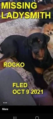 HAPPY ENDINGS - LADYSMITH TAKEN FROM NANAIMO - ROCKO - OCT. 9, 2021