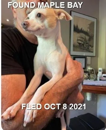 HAPPY ENDINGS - DUNCAN/MAPLE BAY BC. - OSCAR - OCT 8, 2021