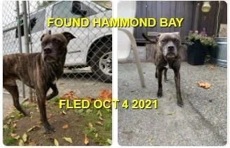 HAPPY ENDINGS - NANAIMO BC. - OCT. 4, 2021