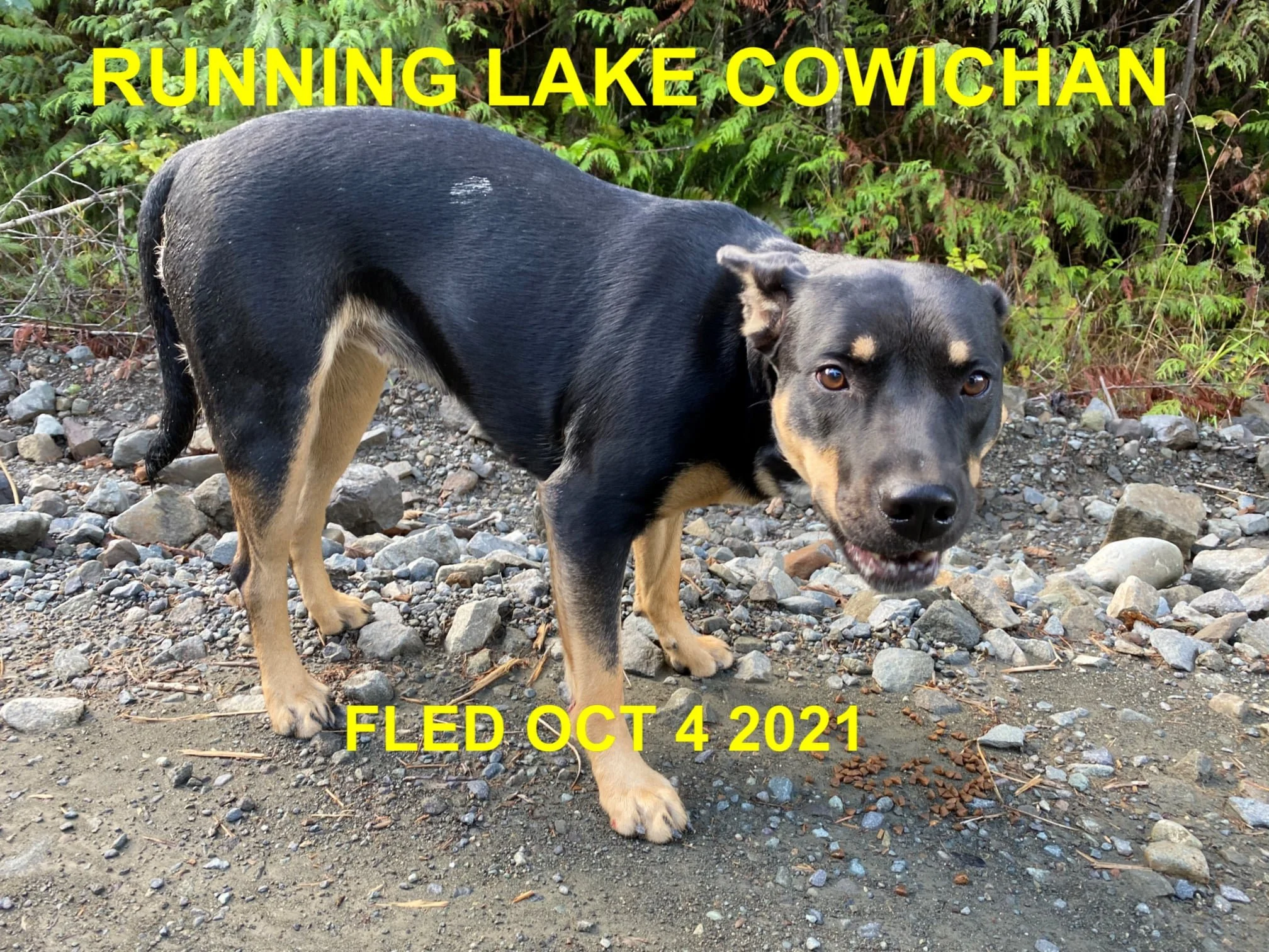 UNRESOLVED - LAKE COWICHAN BC. - OCT. 3, 2021