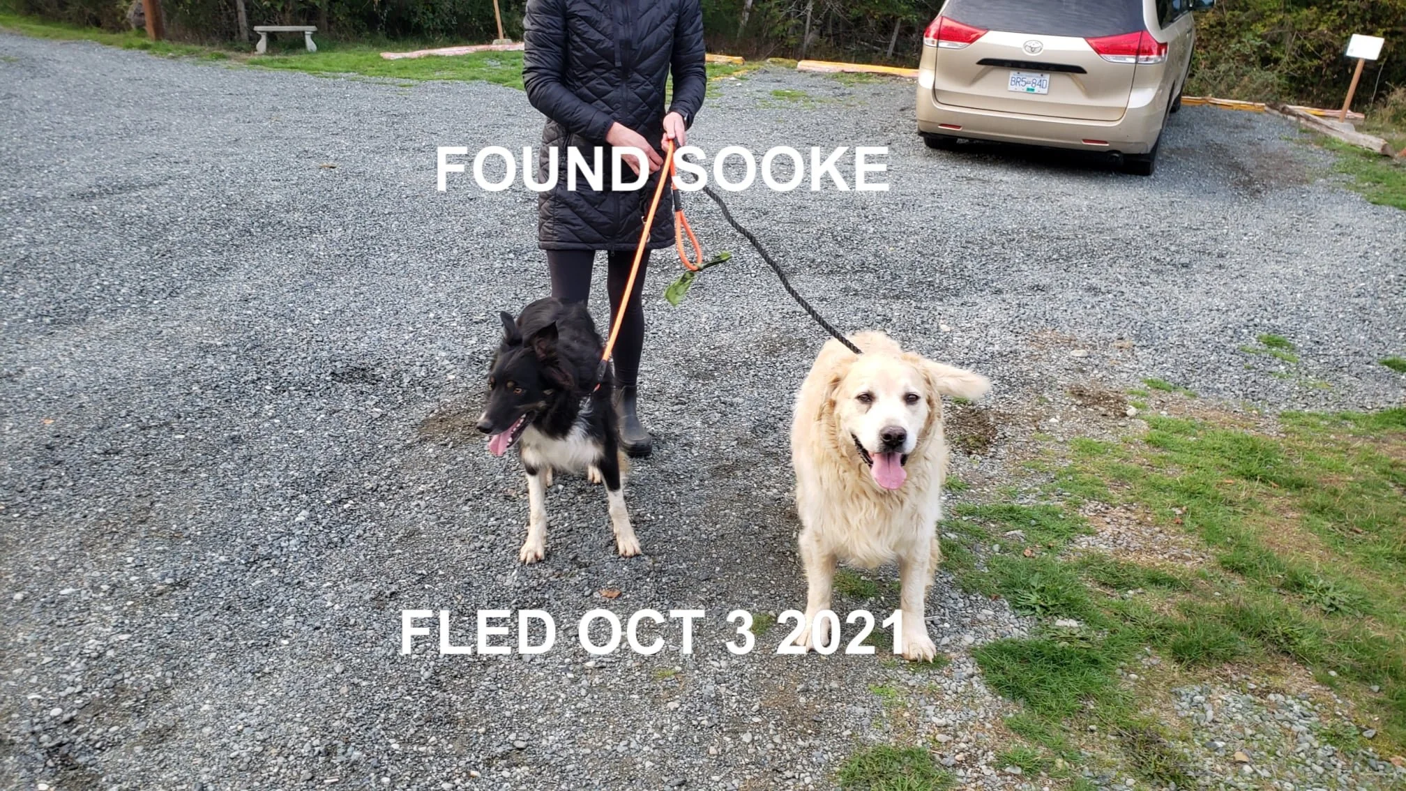 HAPPY ENDINGS - SOOKE BC. - OCT. 3, 2021
