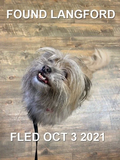 HAPPY ENDINGS - LANGFORD BC. - OCT. 3, 2021