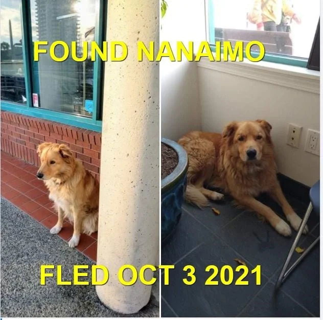 HAPPY ENDINGS - NANAIMO BC. - OCT. 3, 2021