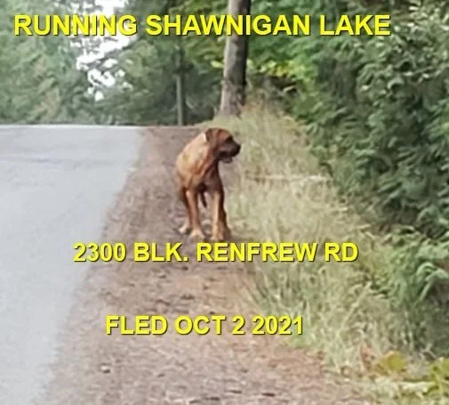 HAPPY ENDINGS - SHAWNIGAN LAKE BC. - OCT. 2, 2021