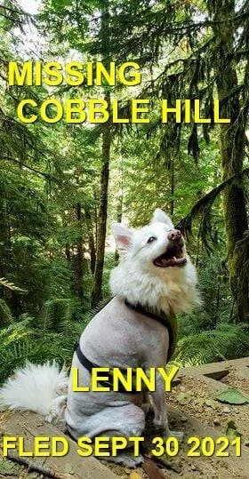 CAME HOME ON HIS OWN/HAPPY ENDINGS - COBBLE HILL BC. - LENNY - SEPT. 30, 2021