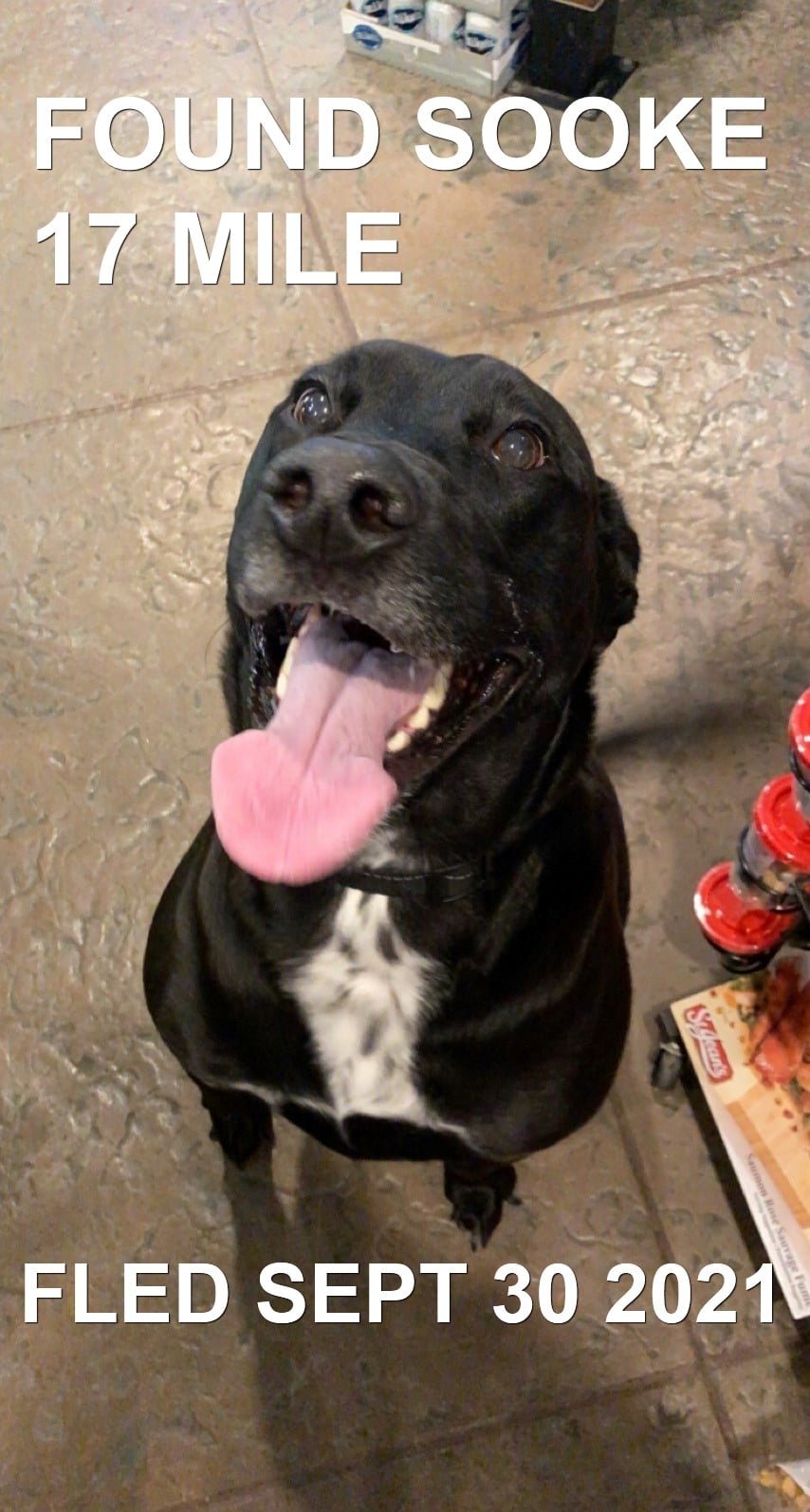 HAPPY ENDINGS - SOOKE BC. - SEPT. 30, 2021