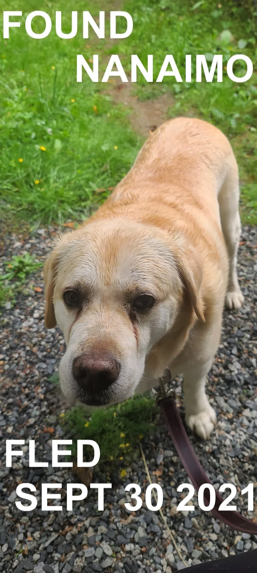 HAPPY ENDINGS - NANAIMO BC. - SEPT. 26, 2021