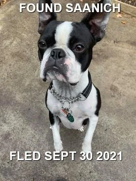 HAPPY ENDINGS - SAANICH BC. - SEPT. 30, 2021